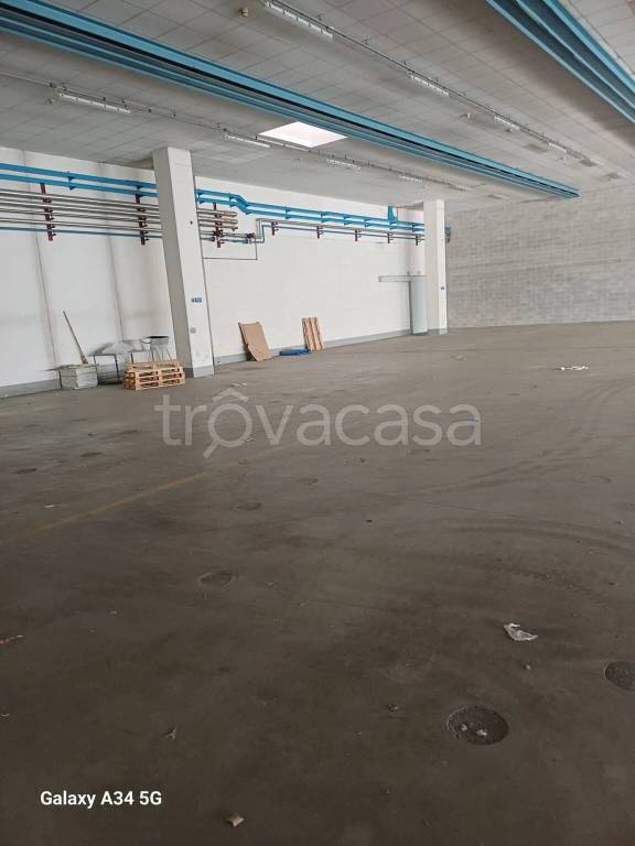immagine annuncio 12 di 14