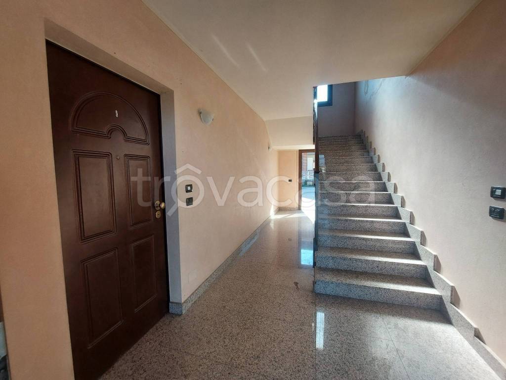 immagine annuncio 3 di 6