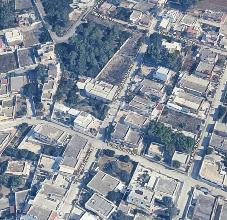 immagine annuncio 8 di 12