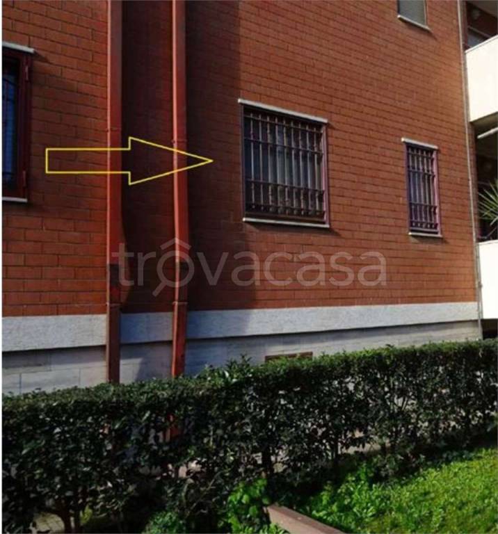 immagine annuncio 3 di 13