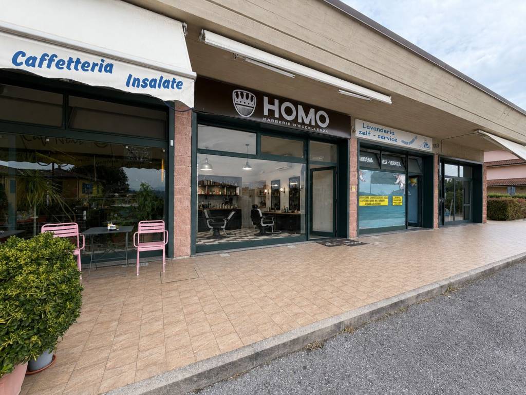 immagine annuncio 10 di 11