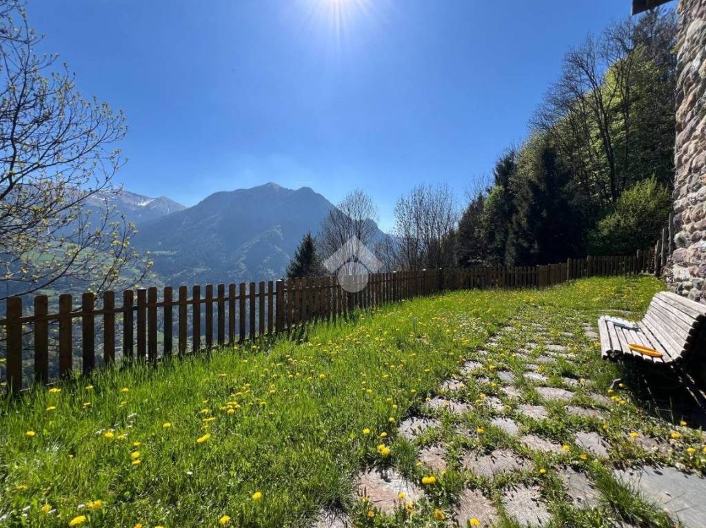 immagine annuncio 5 di 14