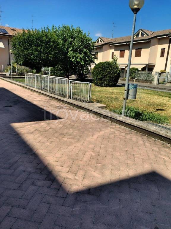 immagine annuncio 1 di 15