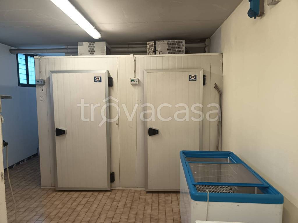 immagine annuncio 9 di 13