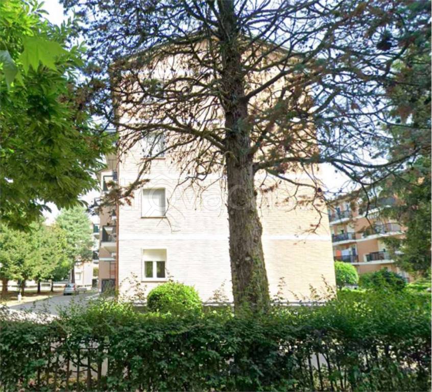 immagine annuncio 9 di 14