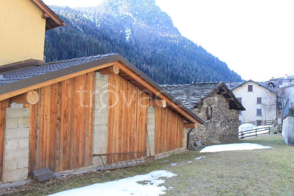 immagine annuncio 3 di 12