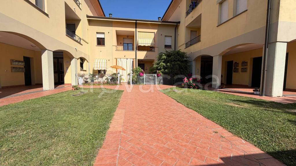 immagine annuncio 4 di 15