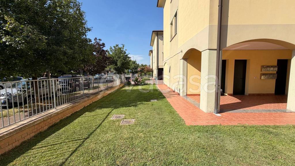 immagine annuncio 6 di 15