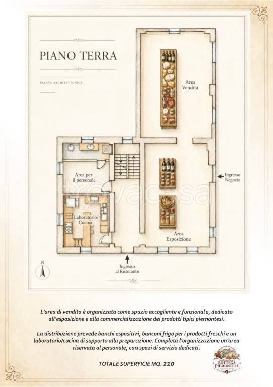 immagine annuncio 7 di 15