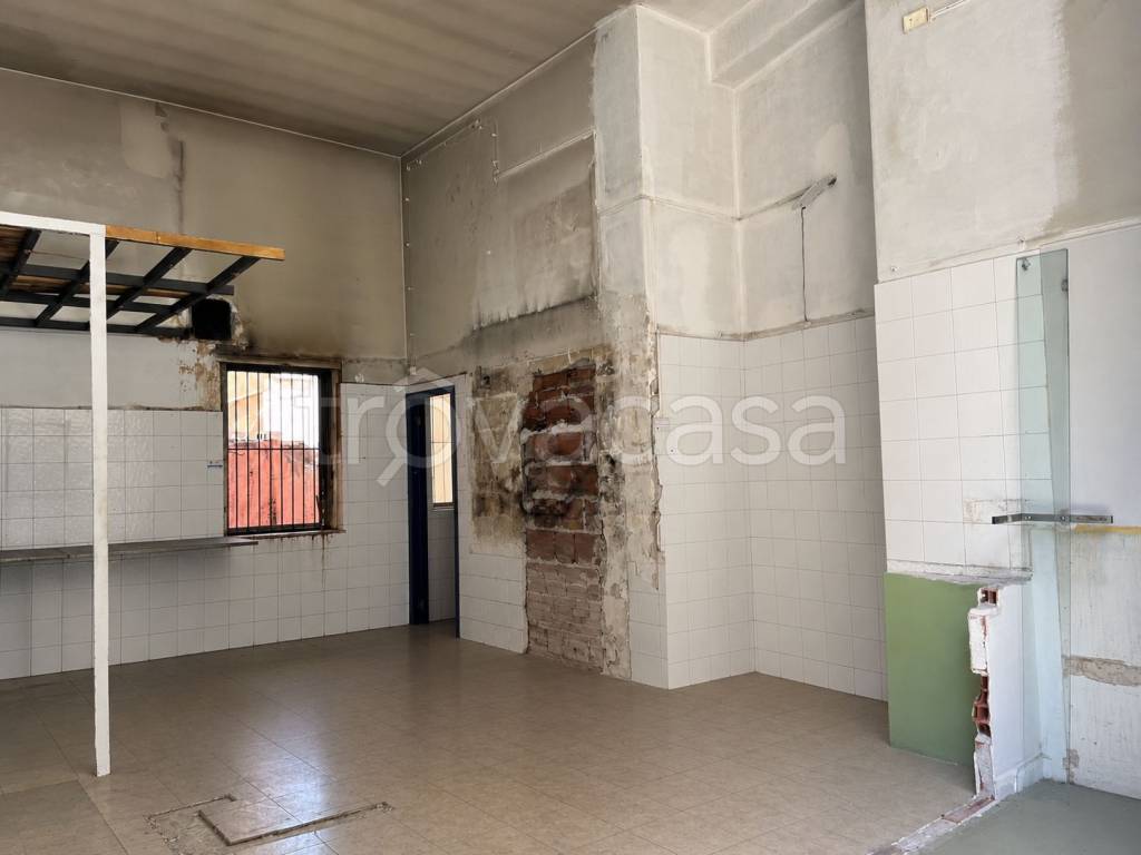 immagine annuncio 12 di 14