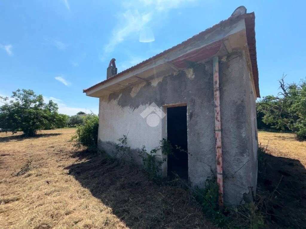 immagine annuncio 3 di 11