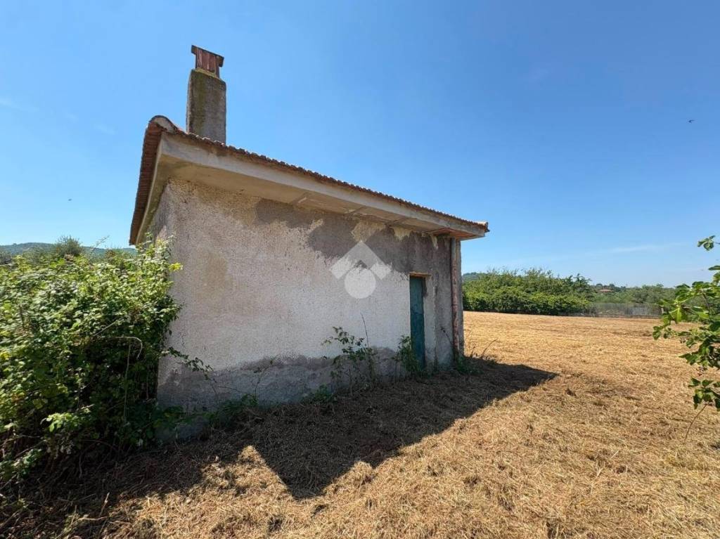 immagine annuncio 7 di 11