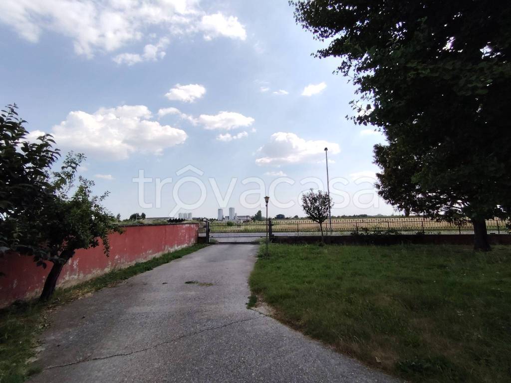 immagine annuncio 8 di 15