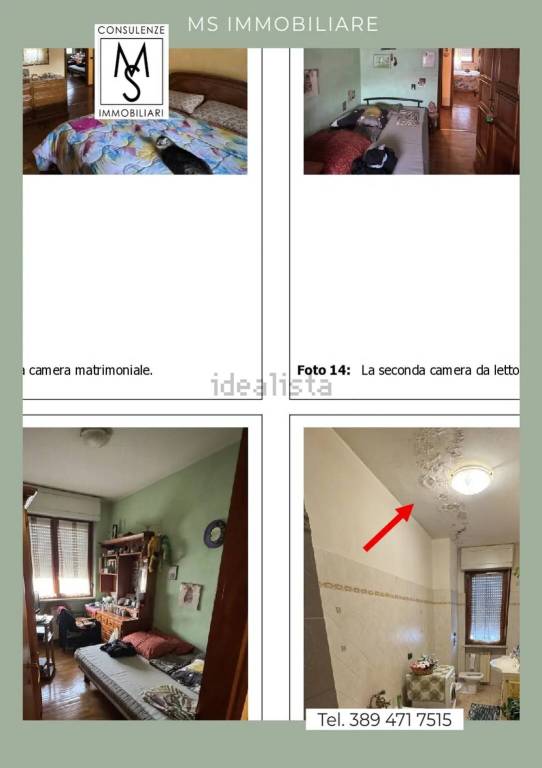 immagine annuncio 2 di 4