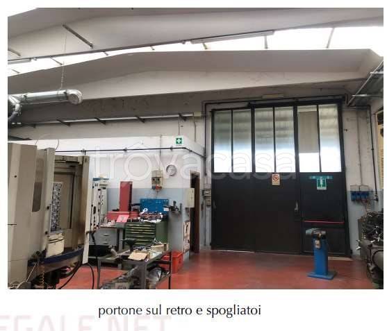 immagine annuncio 9 di 15
