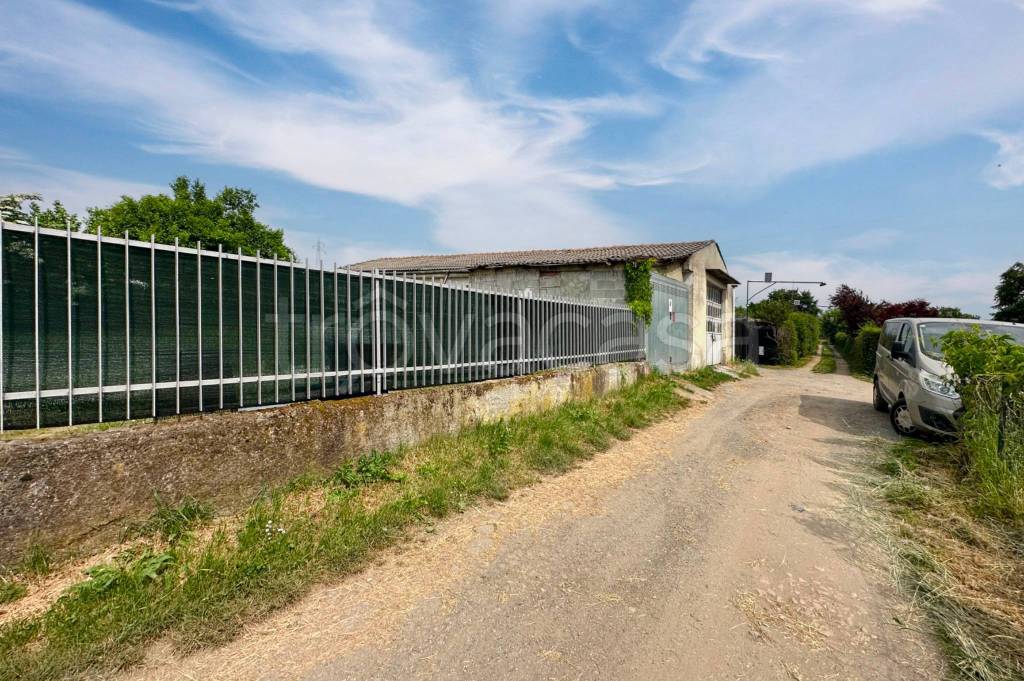 immagine annuncio 5 di 15