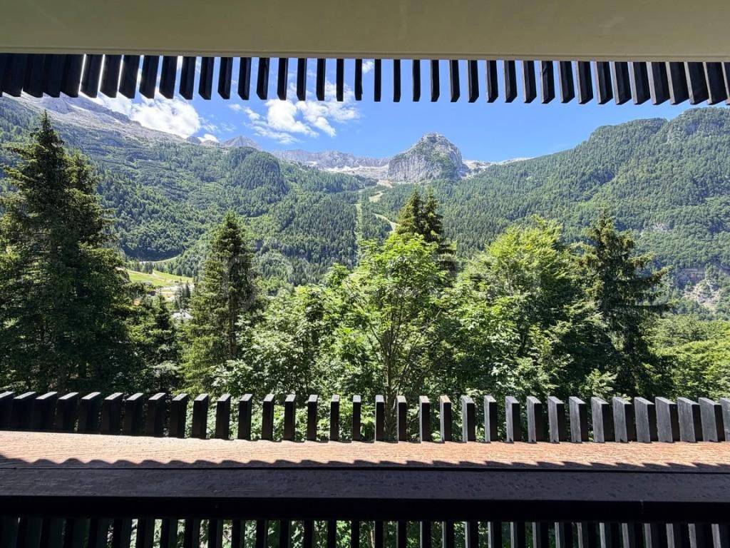 immagine annuncio 6 di 7