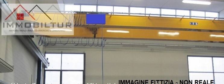 immagine annuncio 4 di 7
