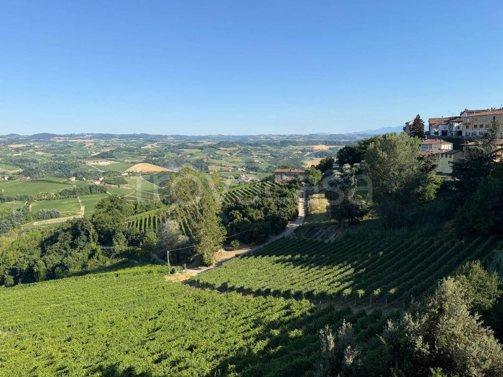 immagine annuncio 5 di 7