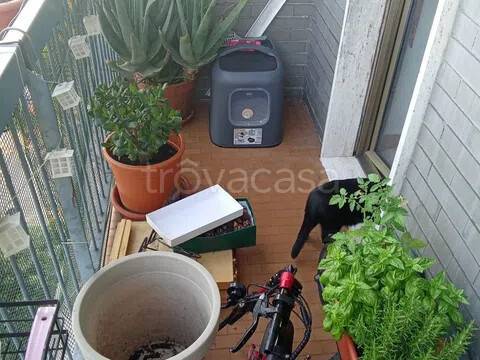 immagine annuncio 8 di 9