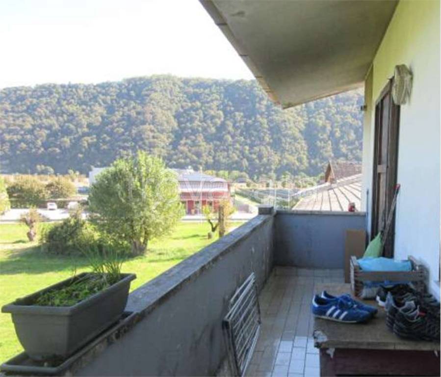 immagine annuncio 11 di 14