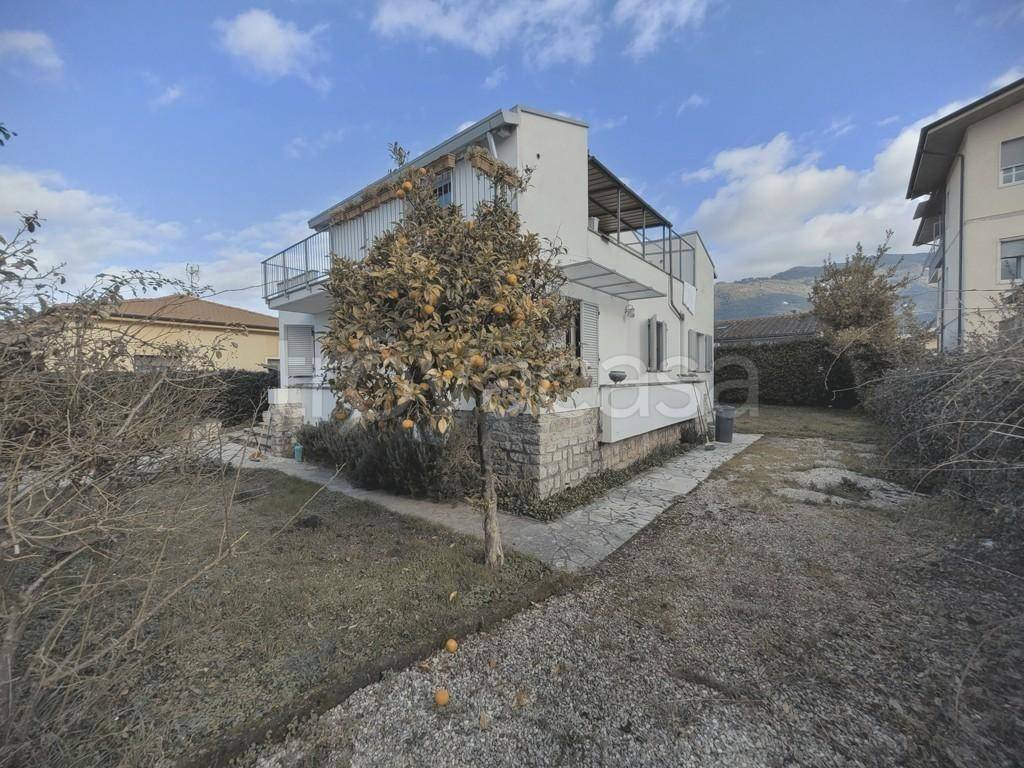 immagine annuncio 3 di 13