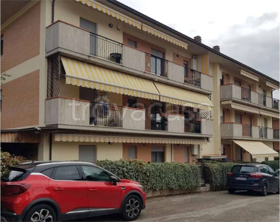 immagine annuncio 4 di 13