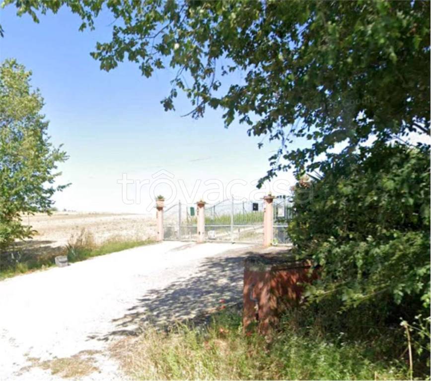immagine annuncio 9 di 13