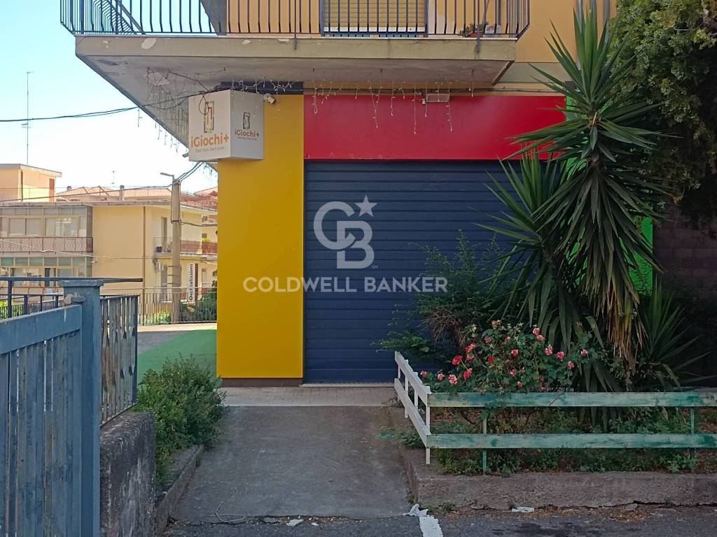 immagine annuncio 2 di 7