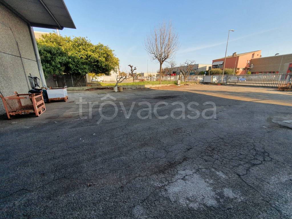 immagine annuncio 9 di 15