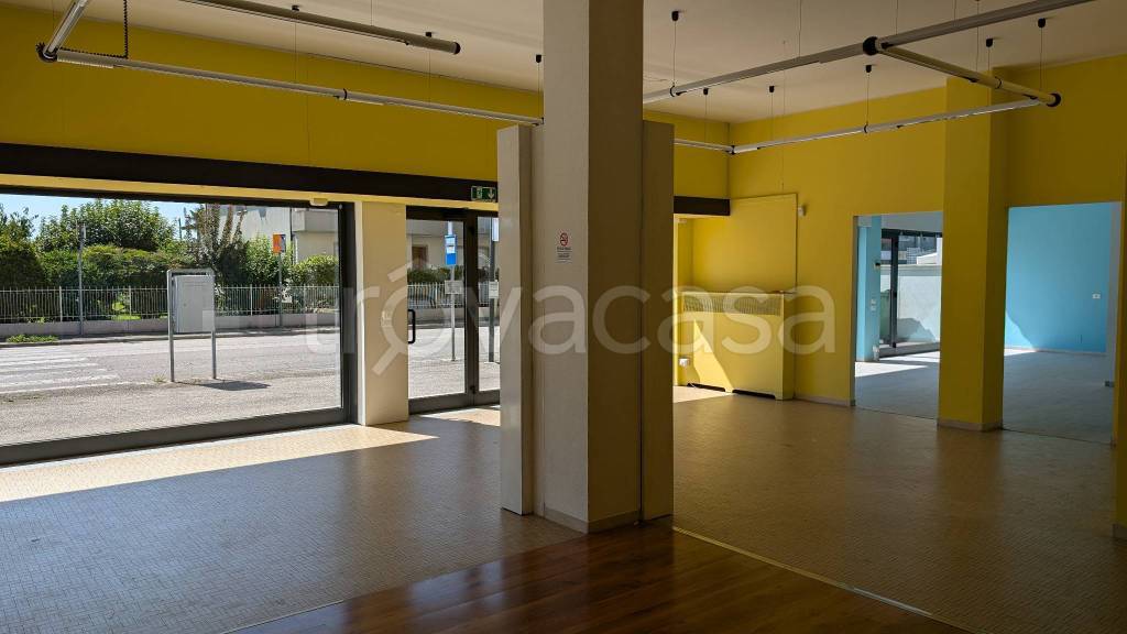 immagine annuncio 2 di 6