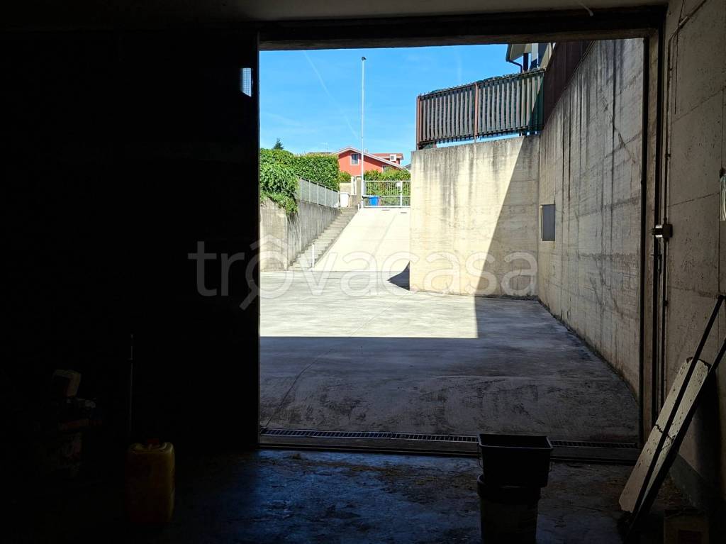 immagine annuncio 6 di 12