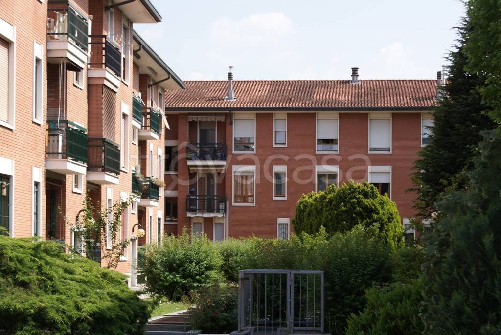 immagine annuncio 1 di 8