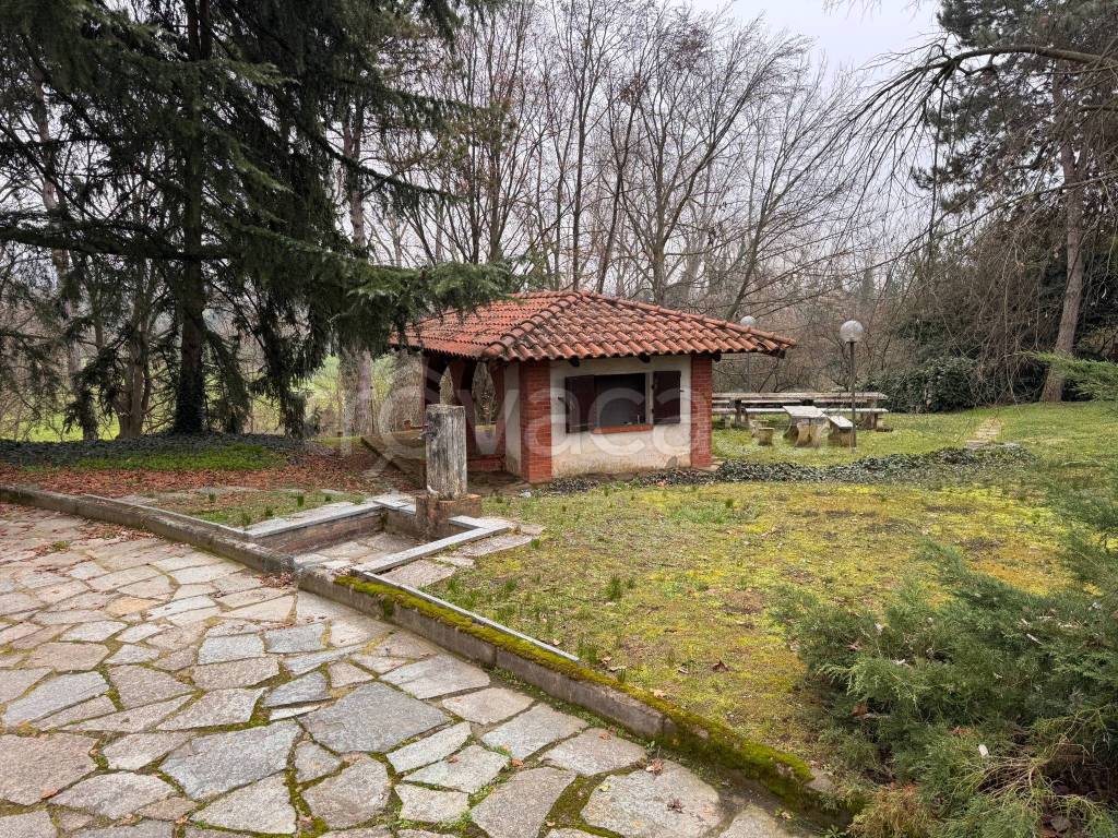 immagine annuncio 9 di 15