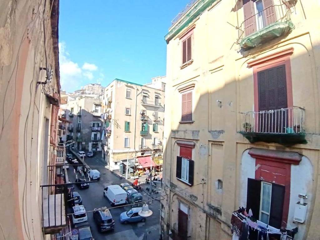 immagine annuncio 12 di 14