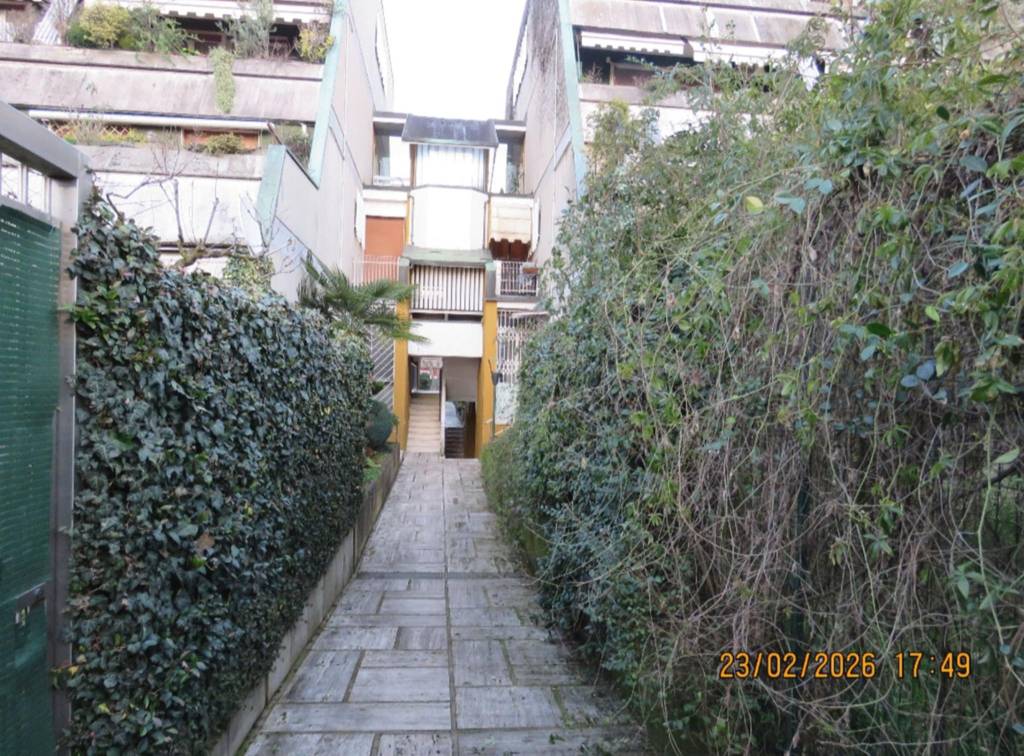 immagine annuncio 6 di 15