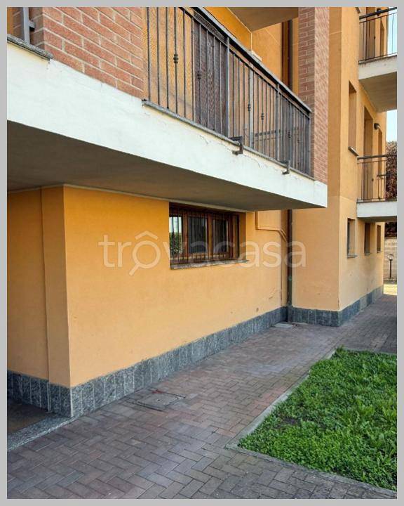 immagine annuncio 12 di 15