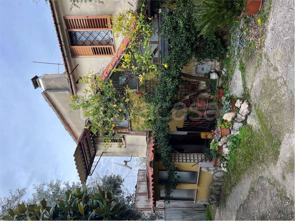immagine annuncio 1 di 2