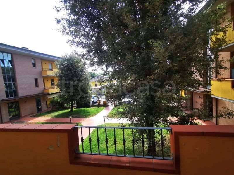 immagine annuncio 12 di 14