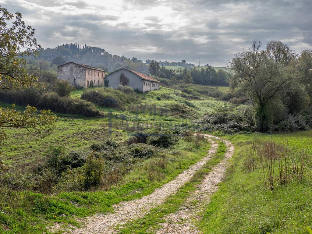 immagine annuncio 8 di 11