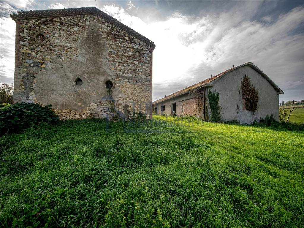 immagine annuncio 10 di 11