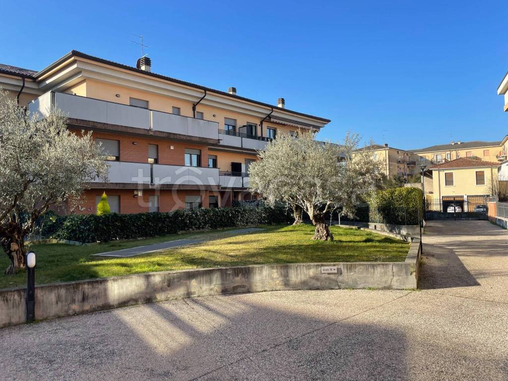 immagine annuncio 10 di 11