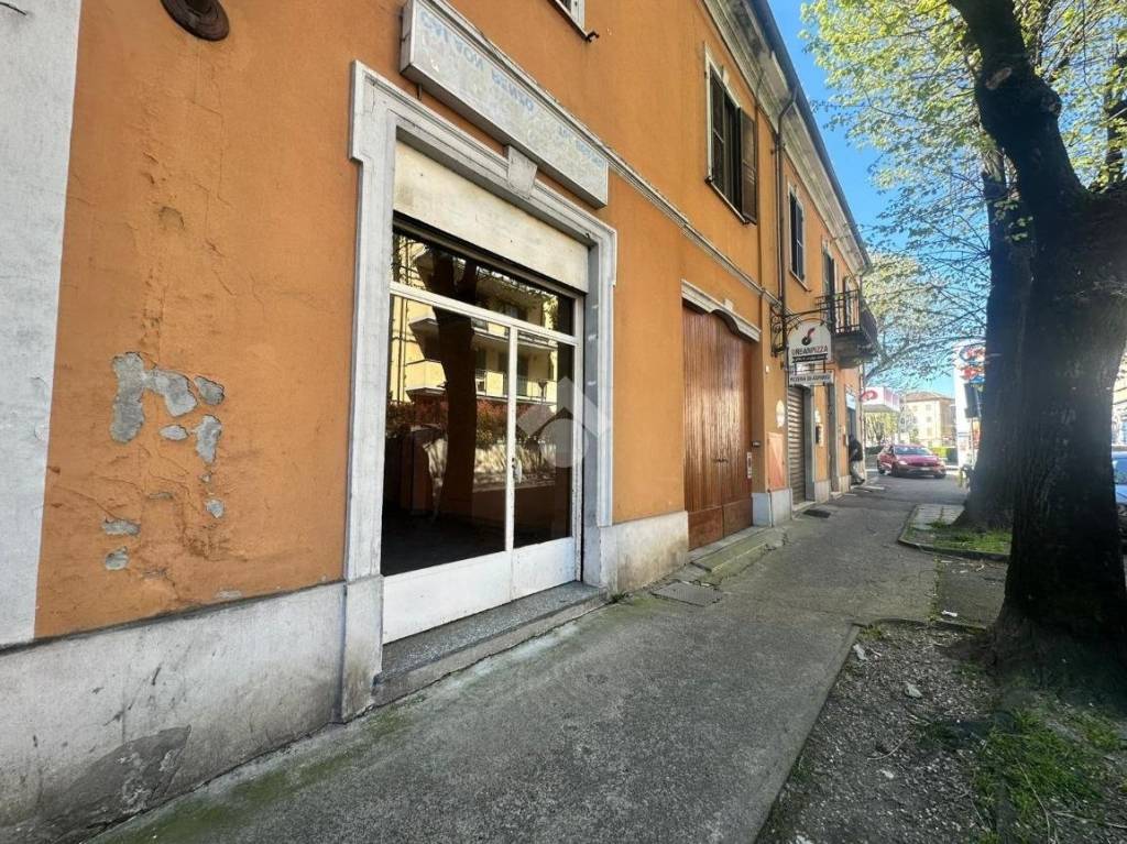 immagine annuncio 5 di 11