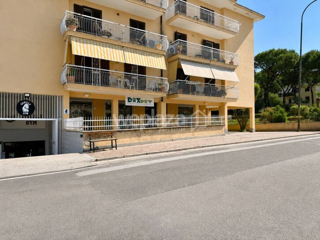 immagine annuncio 6 di 14