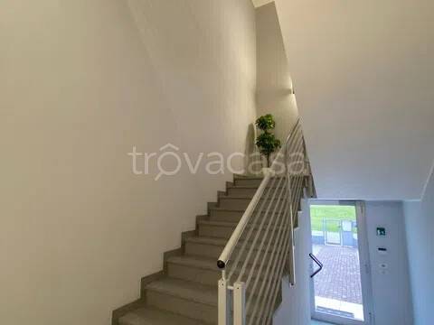 immagine annuncio 5 di 8