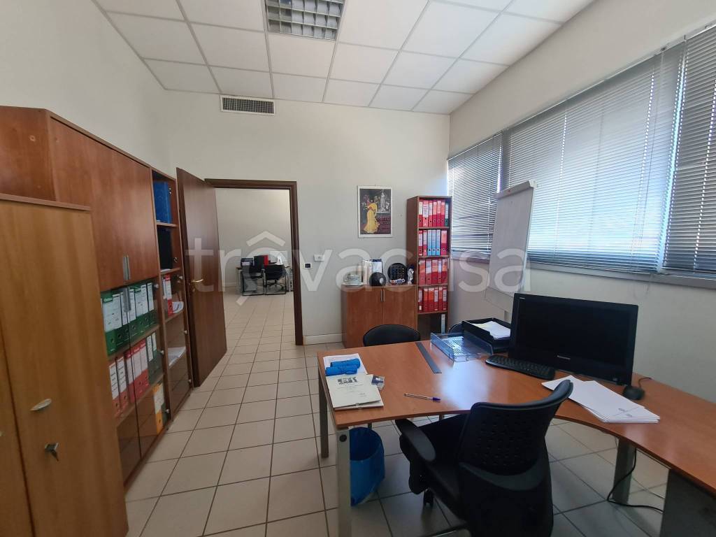 immagine annuncio 3 di 11