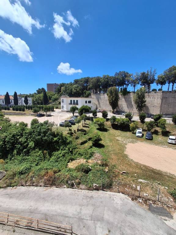 immagine annuncio 4 di 14