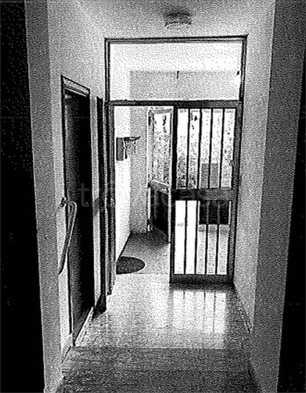 immagine annuncio 3 di 14