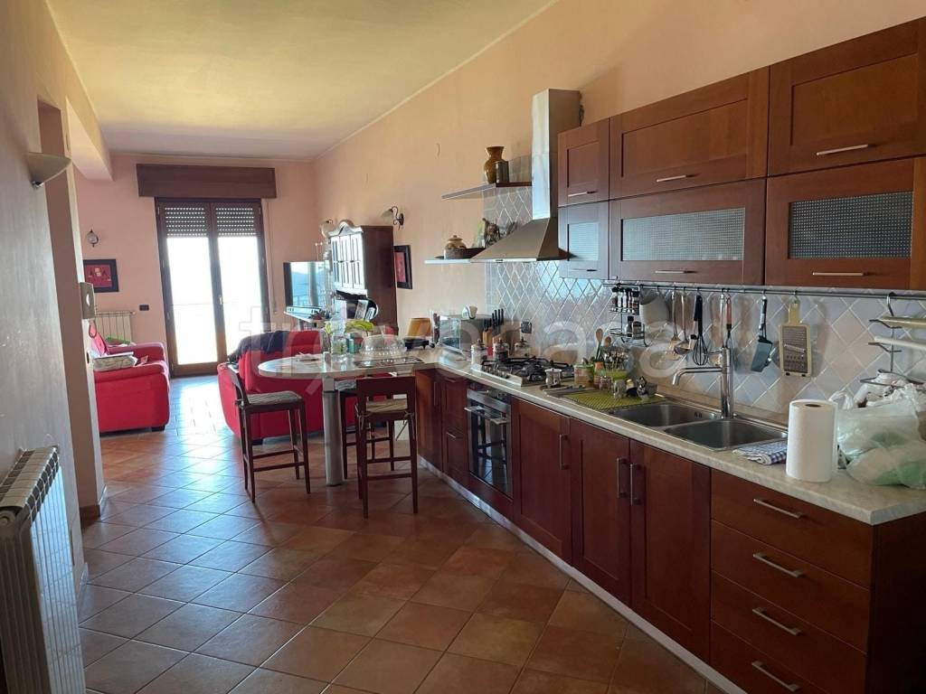 immagine annuncio 1 di 14