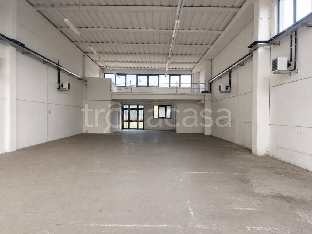 immagine annuncio 3 di 7